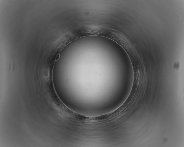 X0000091480602200708161420