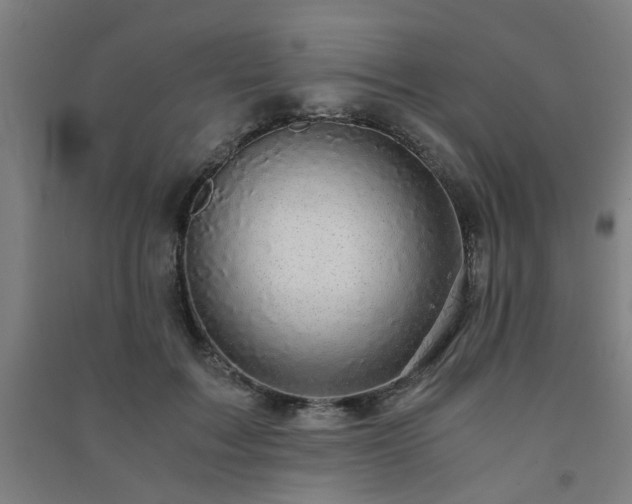X0000091480603200708161420