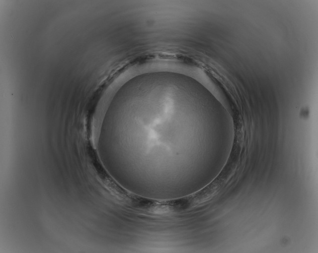 X0000091480604200708161420