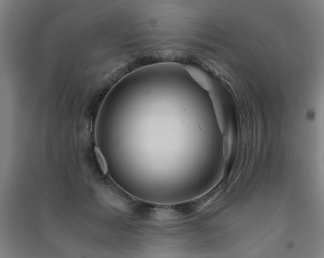 X0000091480605200708161420