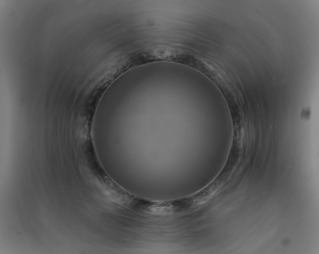 X0000091480606200708161420