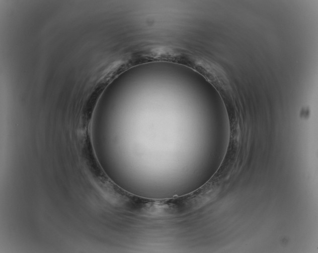 X0000091480607200708161420