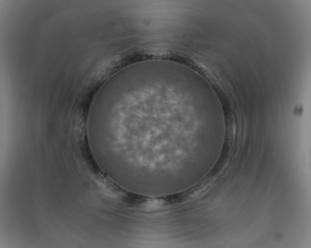 X0000091480609200708161420