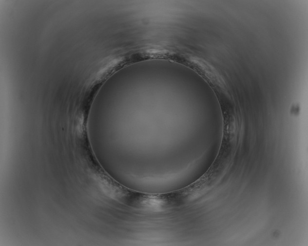 X0000091480610200708161420