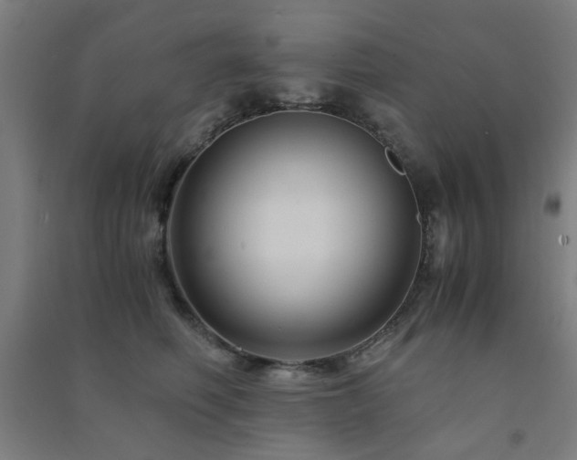 X0000091480614200708161420