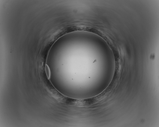 X0000091480615200708161420