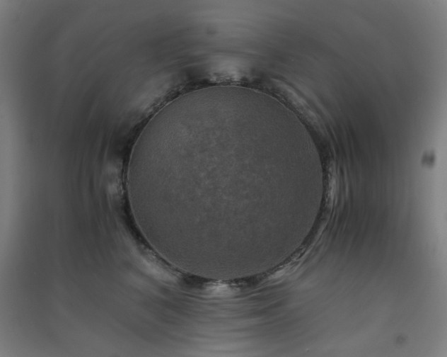 X0000091480616200708161420