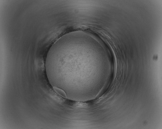 X0000091480617200708161420