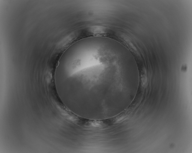 X0000091480618200708161420