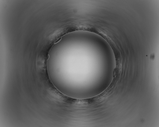X0000091480619200708161420