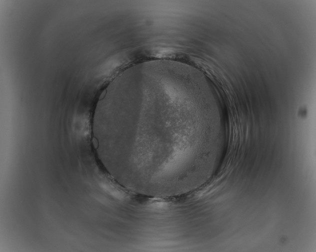 X0000091480620200708161420