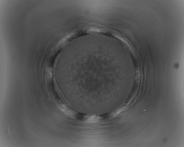 X0000091480621200708161420