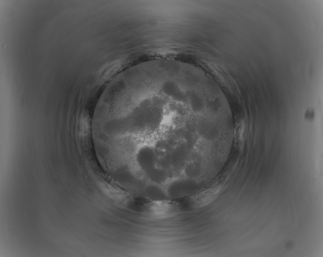 X0000091480623200708161420