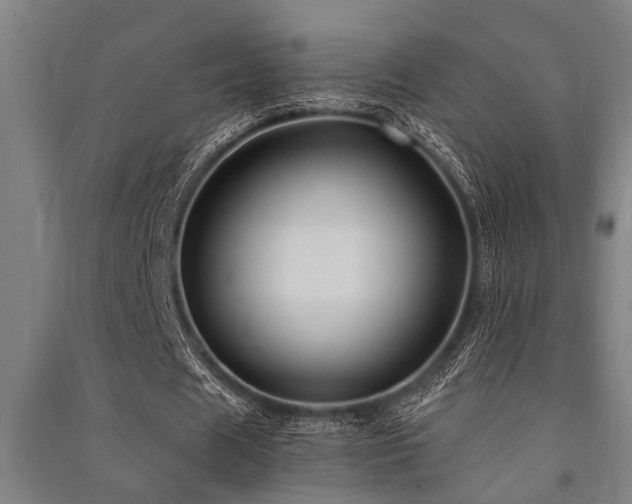 X0000091480625200708161419