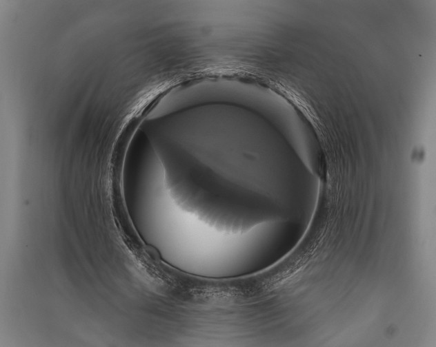 X0000091480626200708161419
