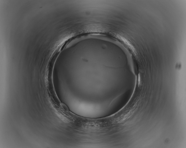 X0000091480627200708161419