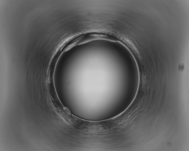 X0000091480628200708161419