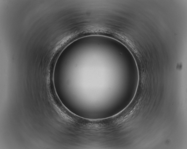 X0000091480629200708161419