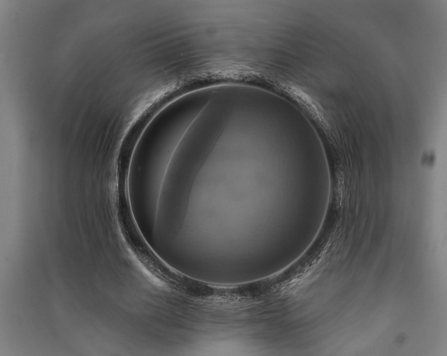 X0000091480630200708161419