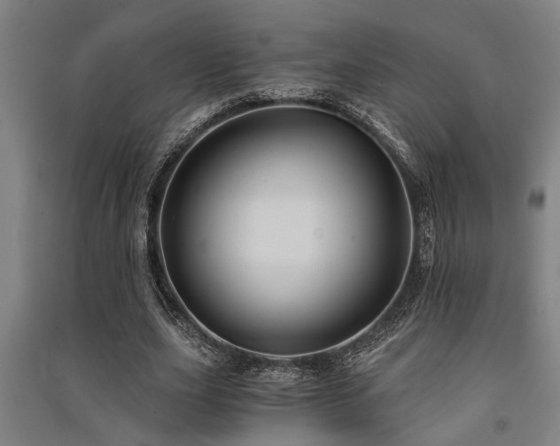 X0000091480631200708161419