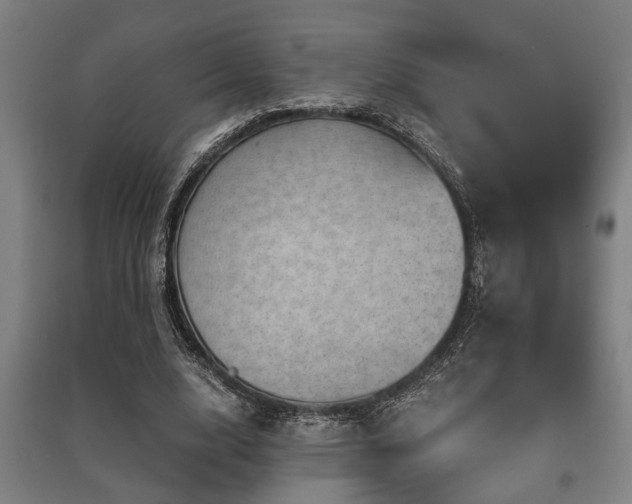 X0000091480632200708161419