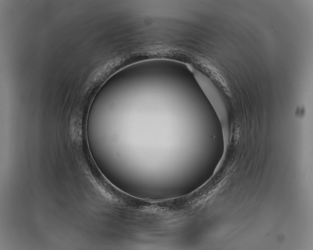 X0000091480633200708161419
