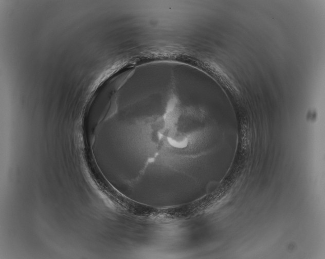 X0000091480634200708161419