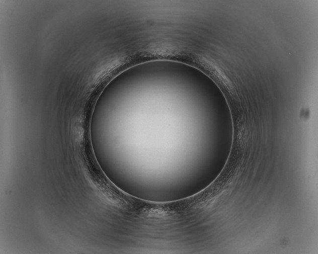 X0000091480635200708161419