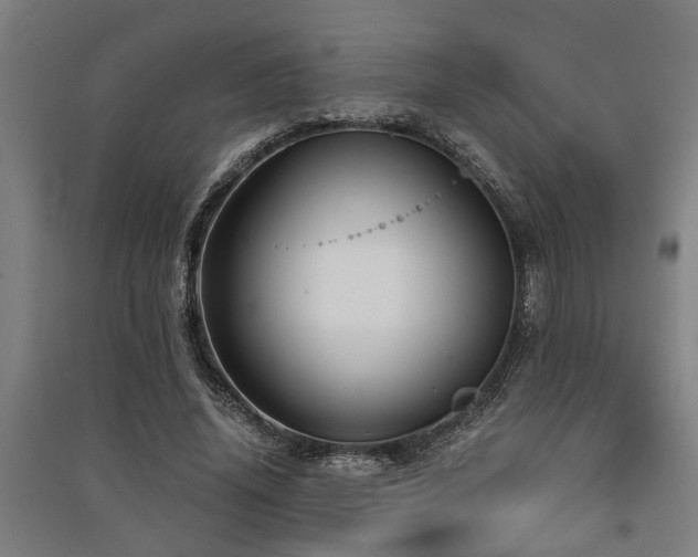 X0000091480636200708161419