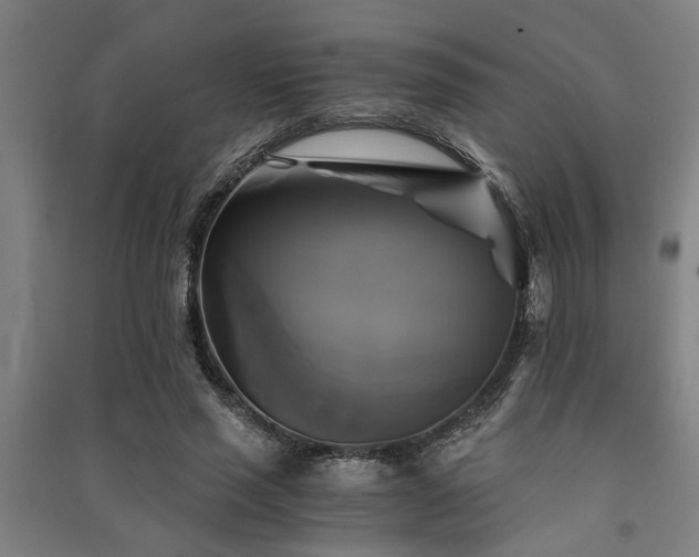 X0000091480637200708161419
