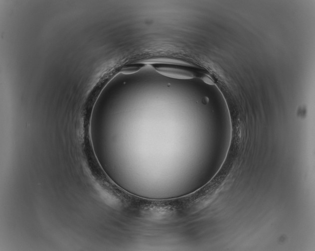 X0000091480638200708161419