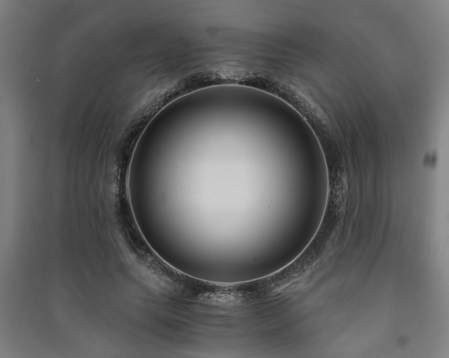 X0000091480639200708161419