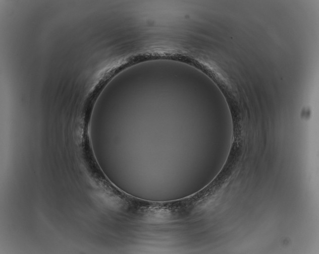 X0000091480640200708161419