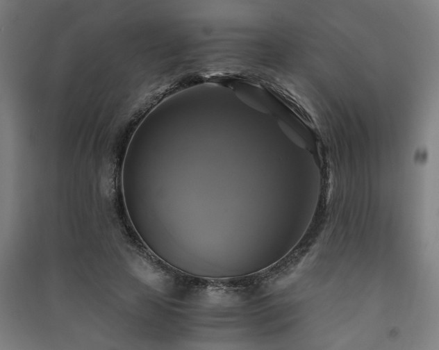 X0000091480641200708161419