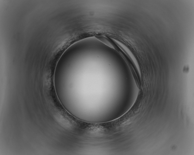 X0000091480642200708161419