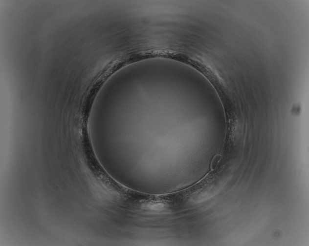 X0000091480643200708161419