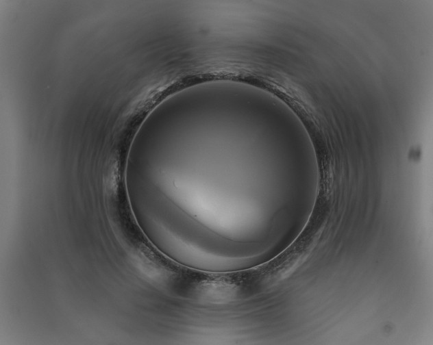 X0000091480644200708161419