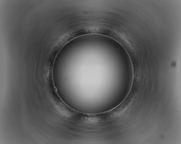 X0000091480645200708161419