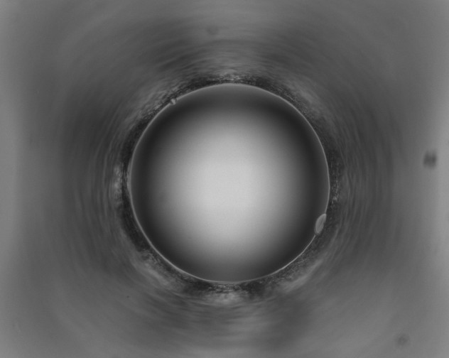 X0000091480646200708161419