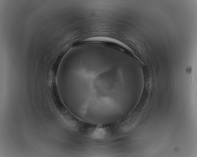 X0000091480647200708161419