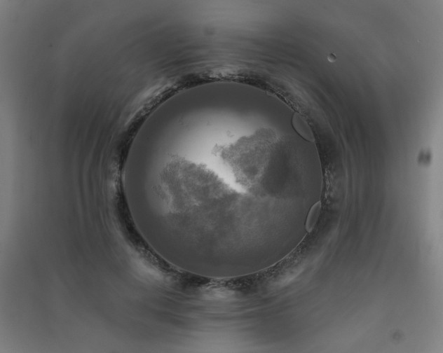 X0000091480648200708161419