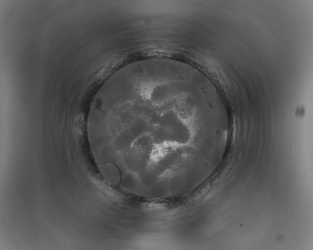 X0000091480649200708161419