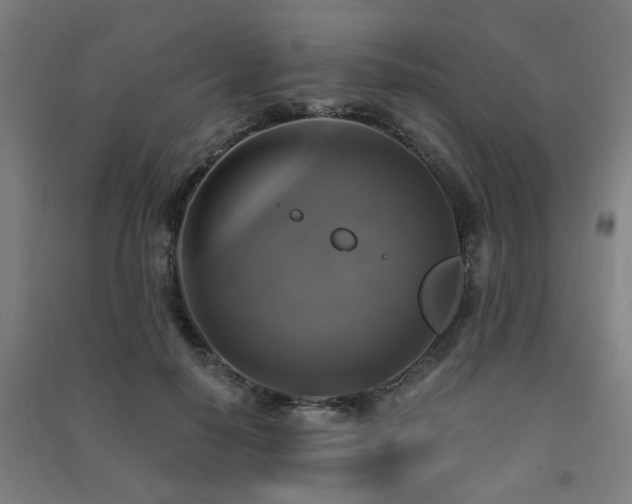 X0000091480650200708161419
