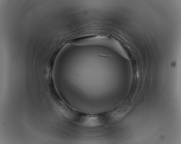 X0000091480651200708161419