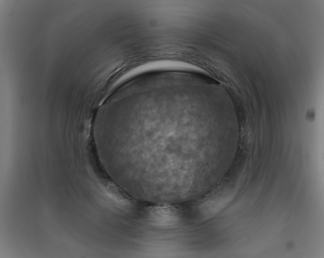 X0000091480652200708161419