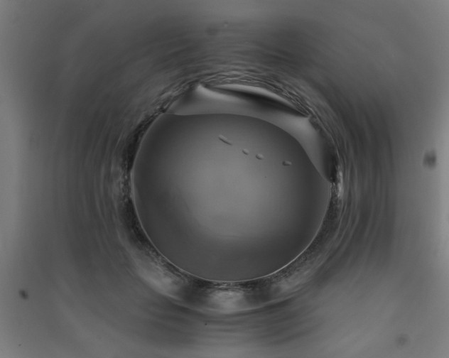 X0000091480653200708161419