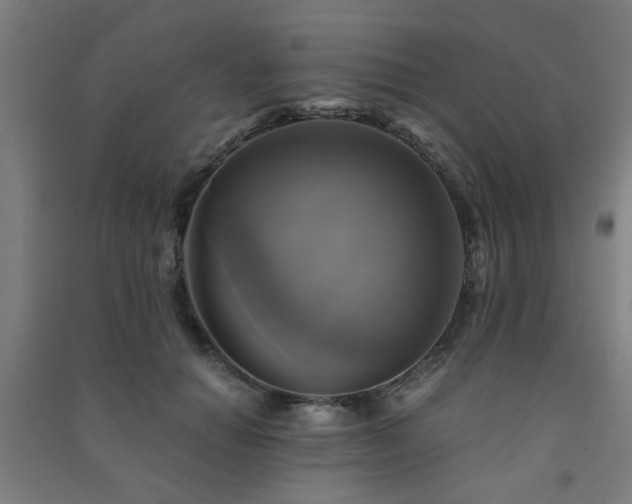 X0000091480654200708161419