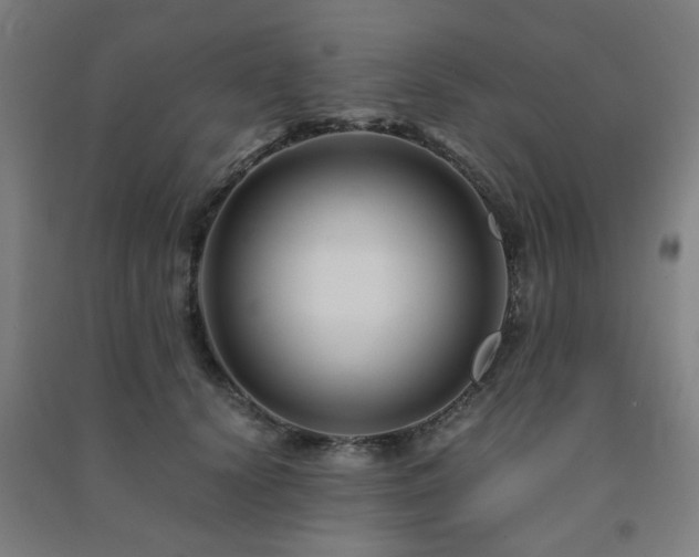 X0000091480656200708161419