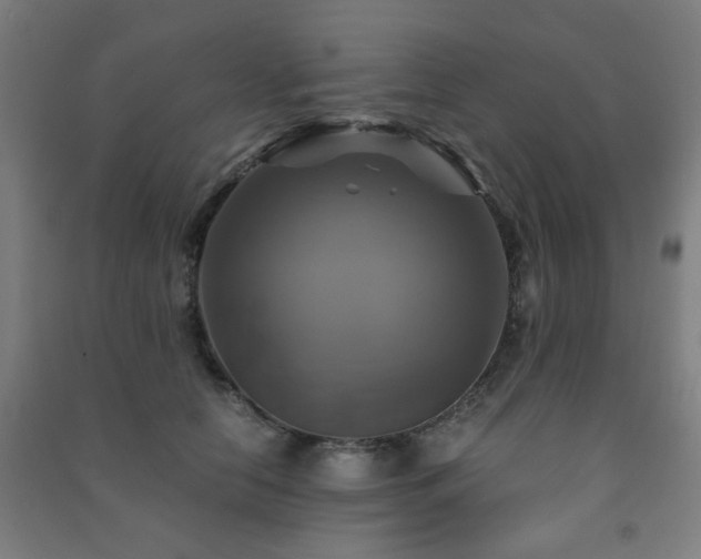 X0000091480658200708161419