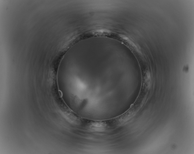 X0000091480659200708161419